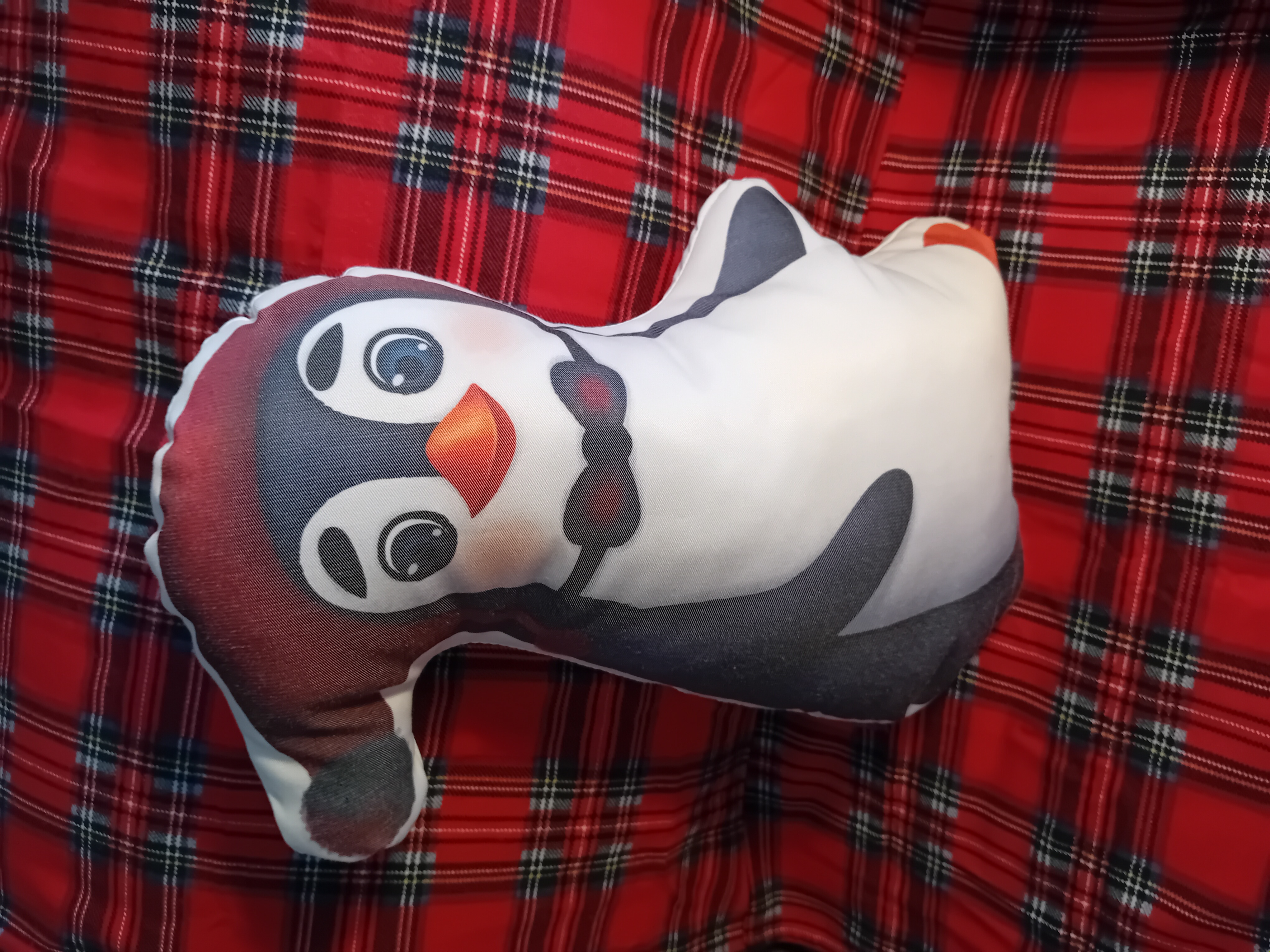 Μαξιλάρι Νίκο